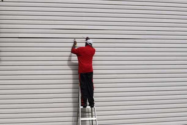 Best Vinyl Siding Installation  in San Rafael, CA